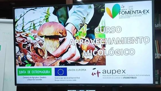 Arranca el curso 'El aprovechamiento micológico' de Aupex