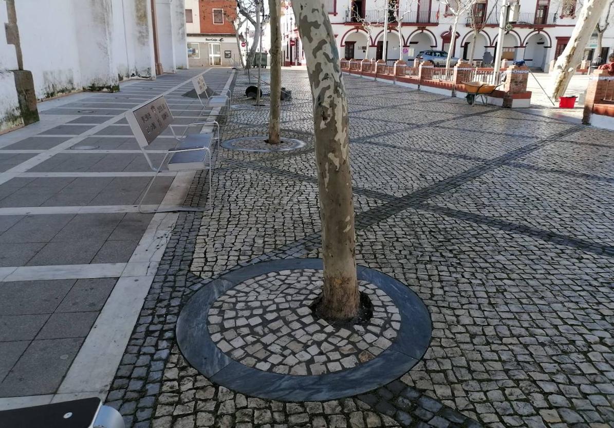 El Ayuntamiento pavimenta los alcorques de la plaza con granito