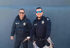 Los agentes con la grulla rescatada.