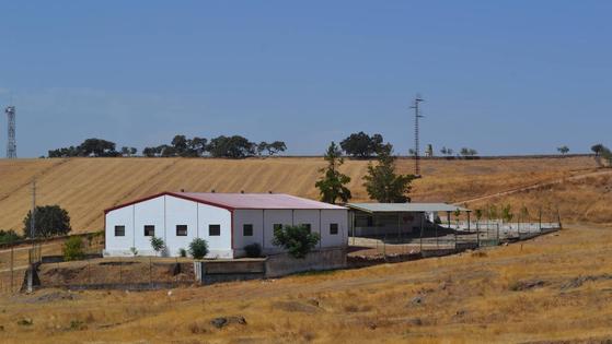 La Asociación Manuela Fuentes organiza una jornada festiva solidaria con paseos a caballo