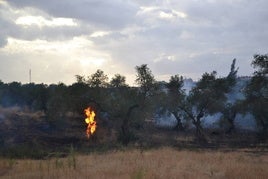 Imagen de archivo de un fuego en la localidad.