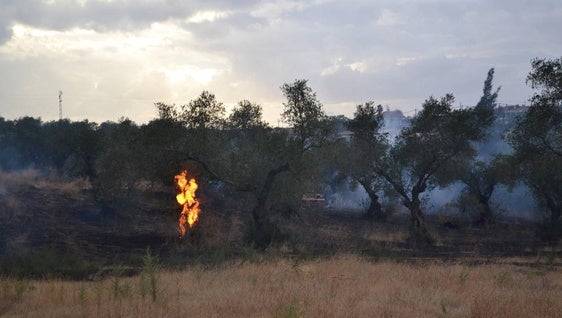 El Ayuntamiento informa de la entrada en vigor de la Época de Peligro Alto de Incendios Forestales