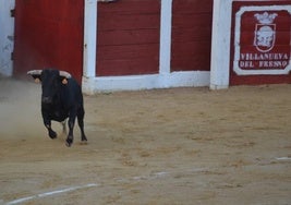 Coso taurino villanovense.