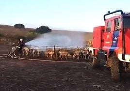 Un Bombero Voluntario de la localidad ha sido el encargado de realizar la desinsectación.