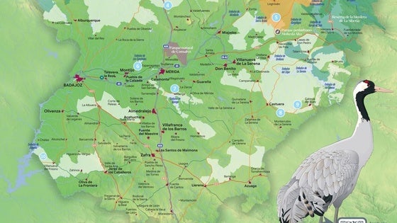 El Club Birding Extremadura destaca el embalse de Cuncos para observar grullas
