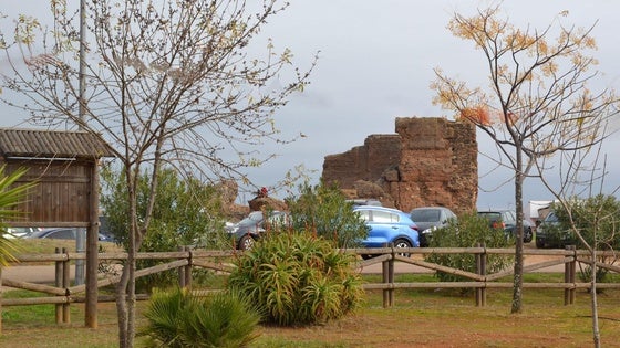 Los abetos del parque del Castillo serán decorados con adornos navideños