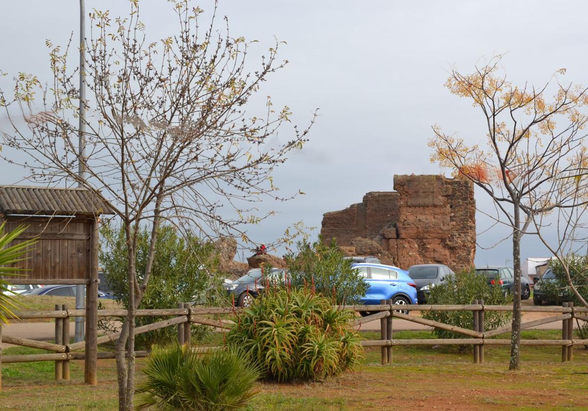 Los abetos del parque del Castillo serán decorados con adornos navideños