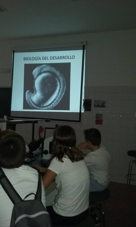 Participación en uno de los talleres programados. A.P