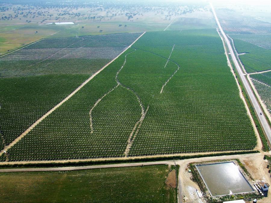 Vista aérea de los Bienes Comunales de Villanueva del Fresno. CEDIDA