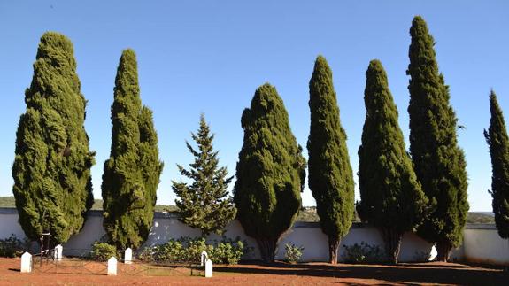 Vista de un rincón del cementerio municipal
