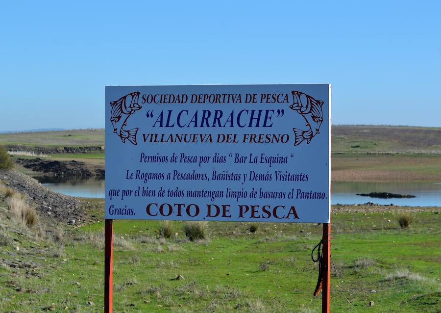 La Sociedad Alcarrache organiza el I Maratón Nocturno Intersocial de pesca de la Feria de San Ginés