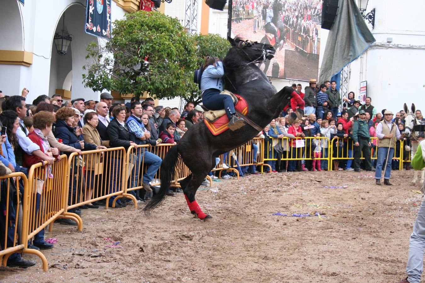 La Romería de Piedraescrita duplica el número de carrozas en el desfile