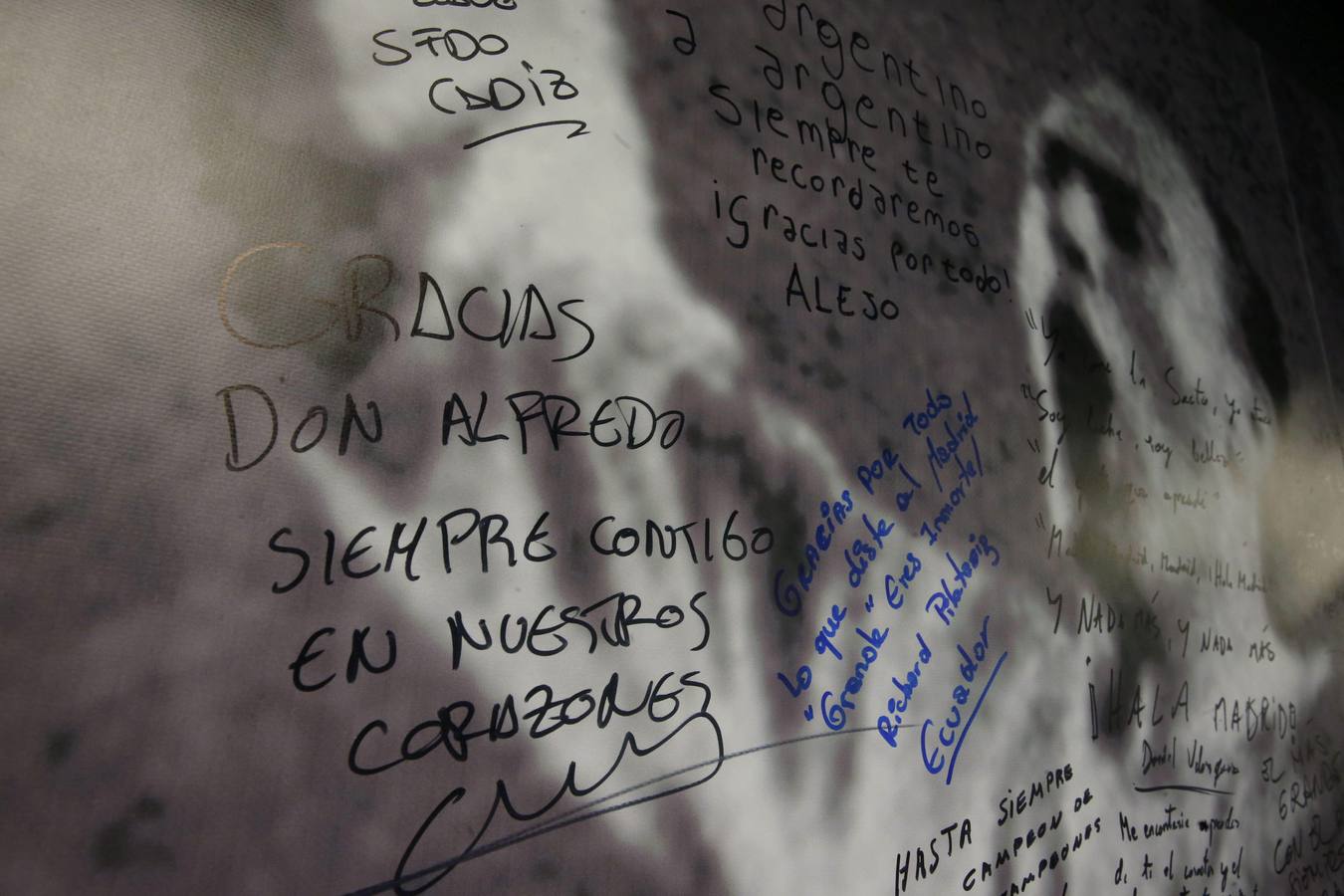 Miércoles, 9 de julio. Capilla ardiente del presidente de honor del Real Madrid, Alfredo Di Stéfano, instalada en el palco de honor del Santiago Bernabéu. Di Stéfano falleció el martes 8 de julio, a los 88 años en el hospital Gregorio Marañón de Madrid, tres días después de sufrir una parada cardiorrespiratoria cuando salía de un restaurante. Varios centenares de personas han aguardado desde primera hora de hoy a que se abrieran las puertas del palco de honor del estadio para dar el último adiós al exfutbolista y leyenda del madridismo. EFE/Juan Carlos Hidalgo.