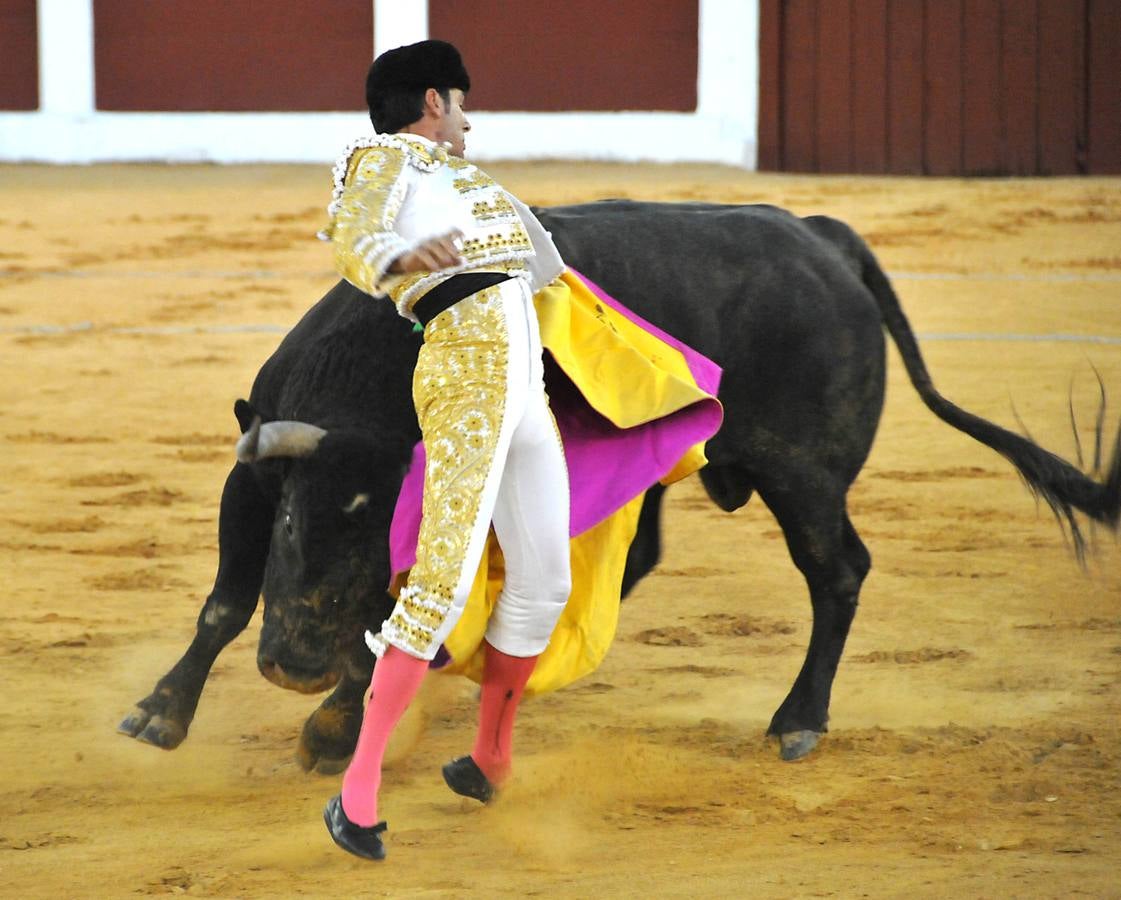 Puerta grande para Alejandro Fermín en la nocturna del Martes Mayor