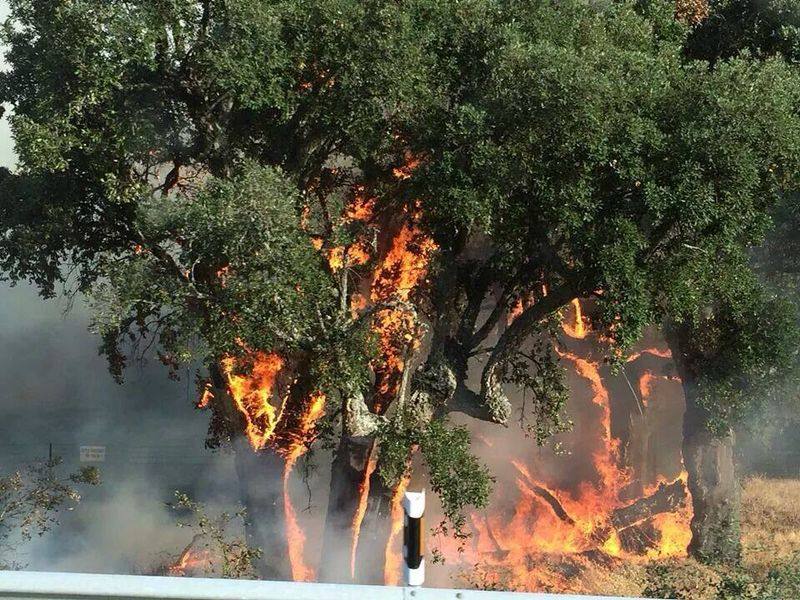 Un incendio cerca de Plasencia llega a las proximidades de Valcorchero