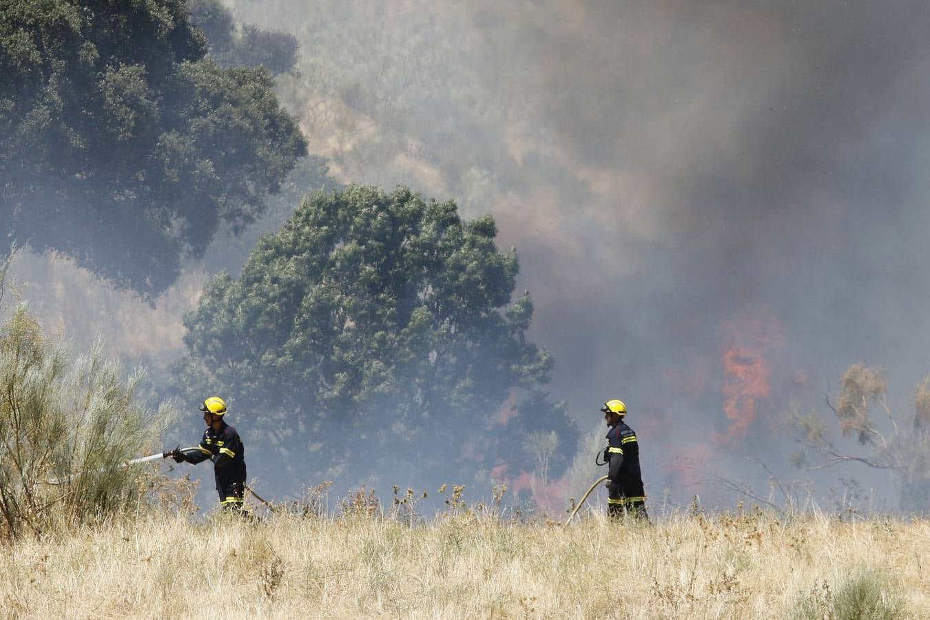 Incendio en Oliva de Plasencia