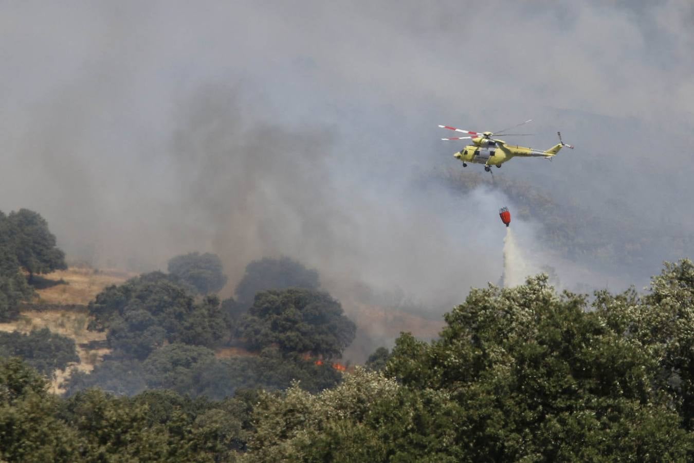 Incendio en Oliva de Plasencia
