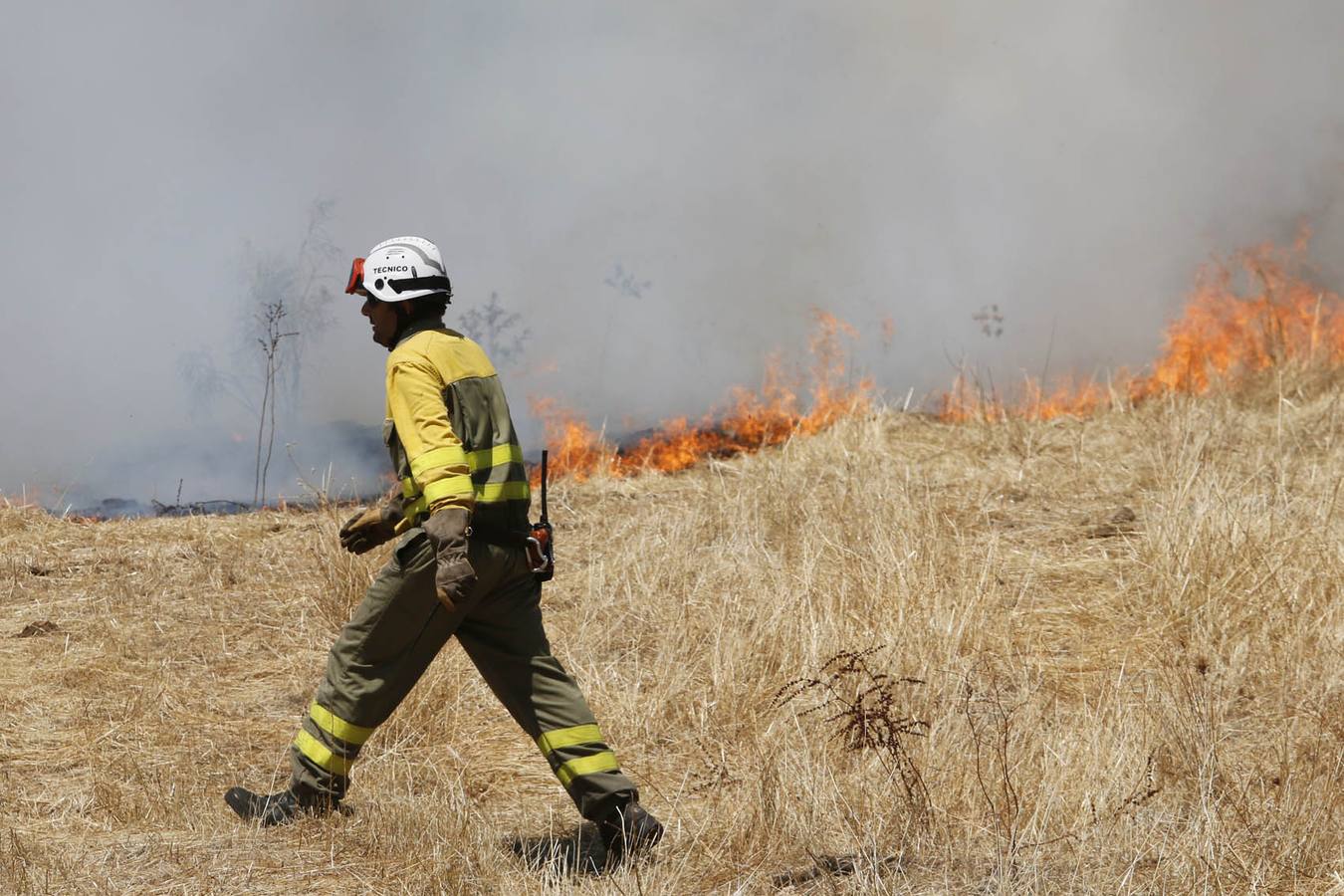Incendio en Oliva de Plasencia
