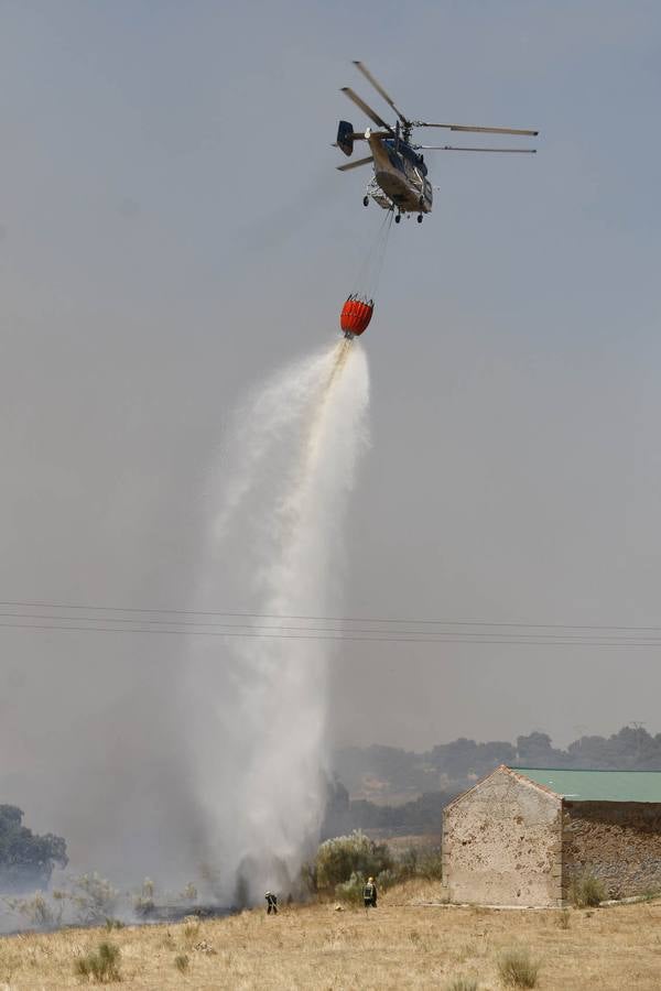 Incendio en Oliva de Plasencia