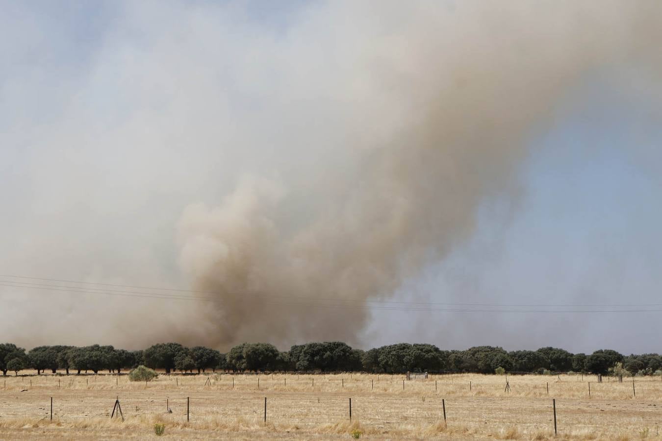 Incendio en Oliva de Plasencia