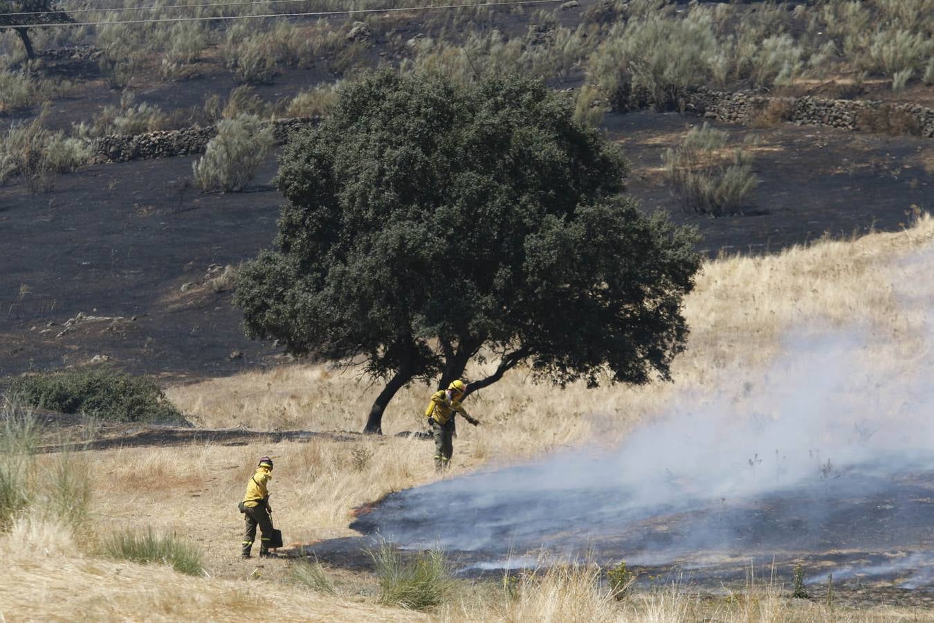 Incendio en Oliva de Plasencia