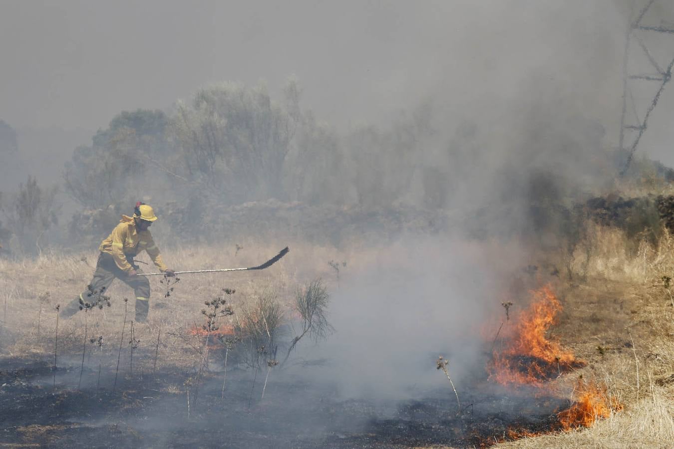 Domingo 17 de agosto: Un incendio en Oliva de Plasencia obliga a desalojar naves y viviendas. El viento cambiante durante la tarde complicó la extinción de un fuego que rodeó el pueblo. Andy Solé