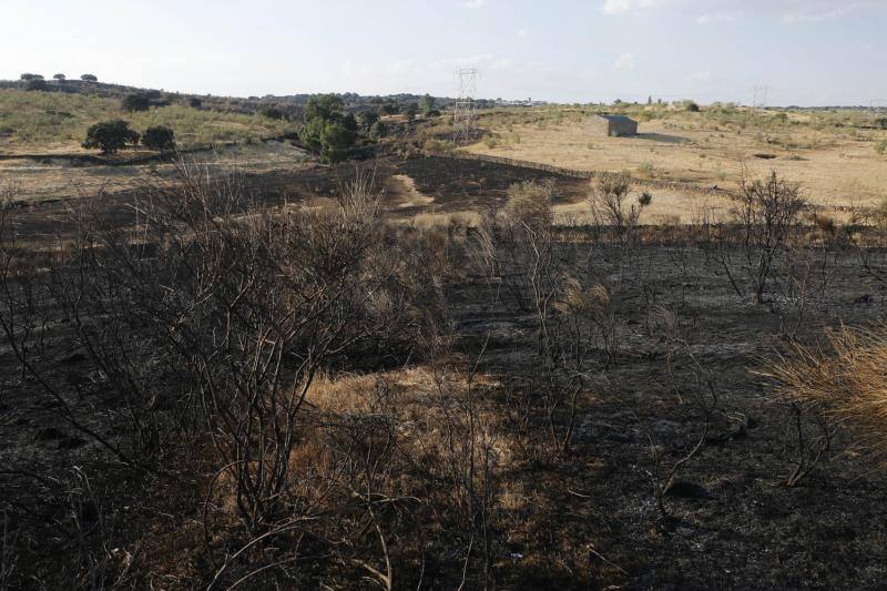 Incendio en Oliva de Plasencia