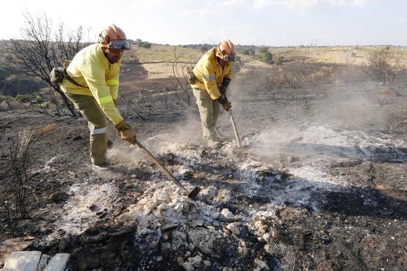 Incendio en Oliva de Plasencia