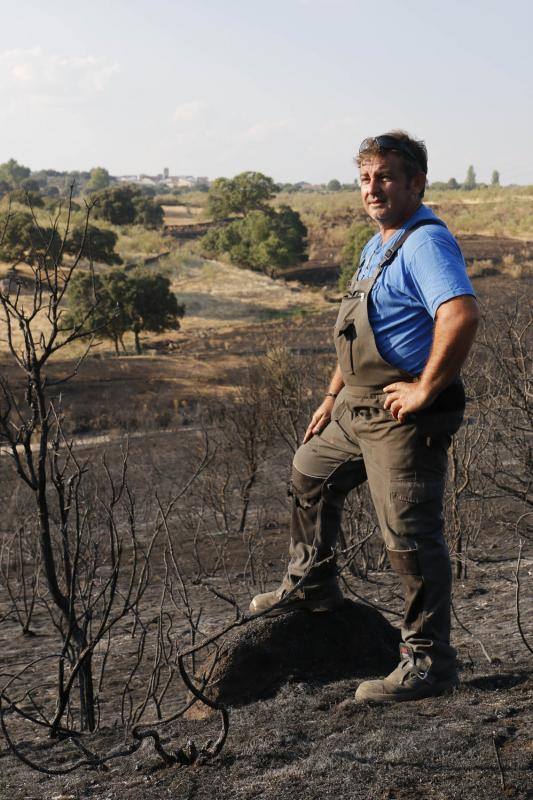 Incendio en Oliva de Plasencia