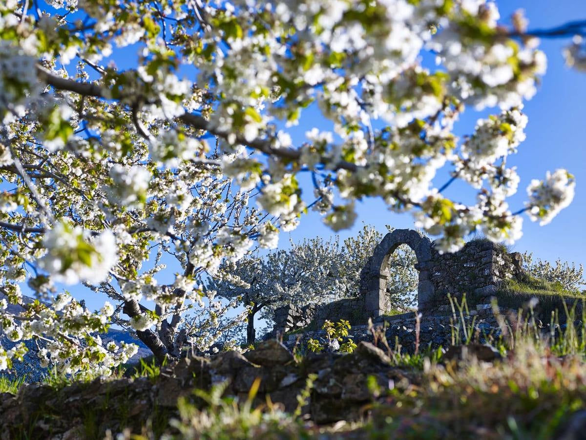 Paraísos olvidados | Ermita de la Magdalena en Tornavacas