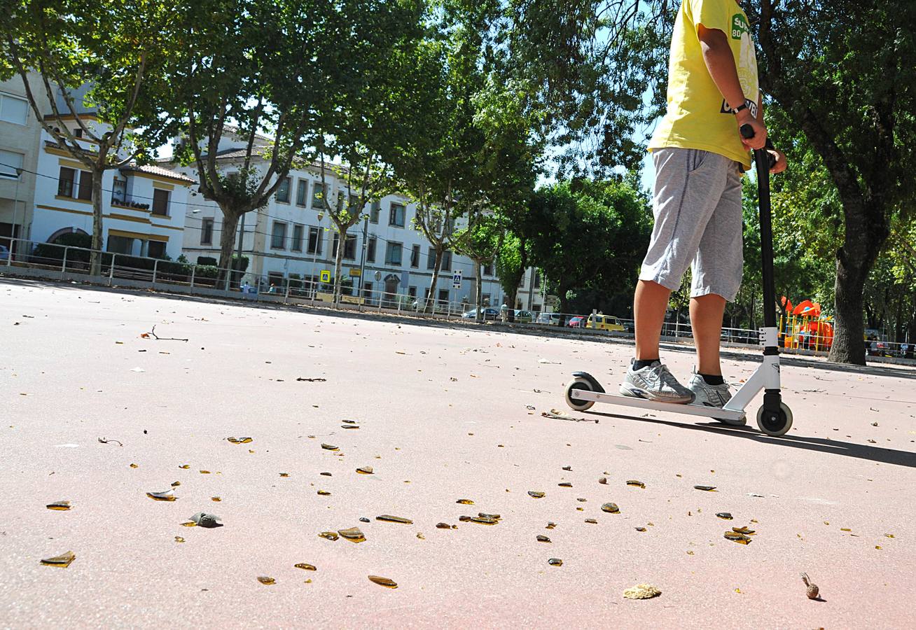 El vandalismo y la falta de cuidados deterioran el parque de la Coronación