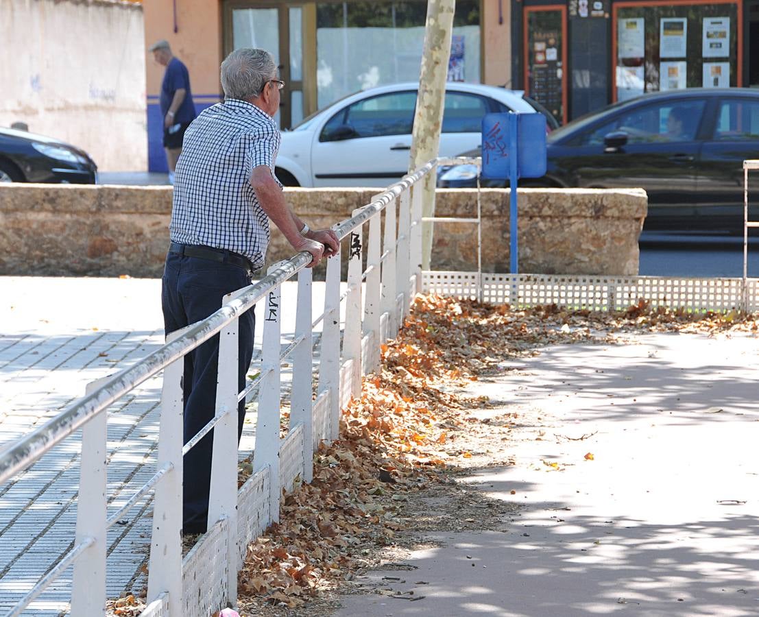 El vandalismo y la falta de cuidados deterioran el parque de la Coronación