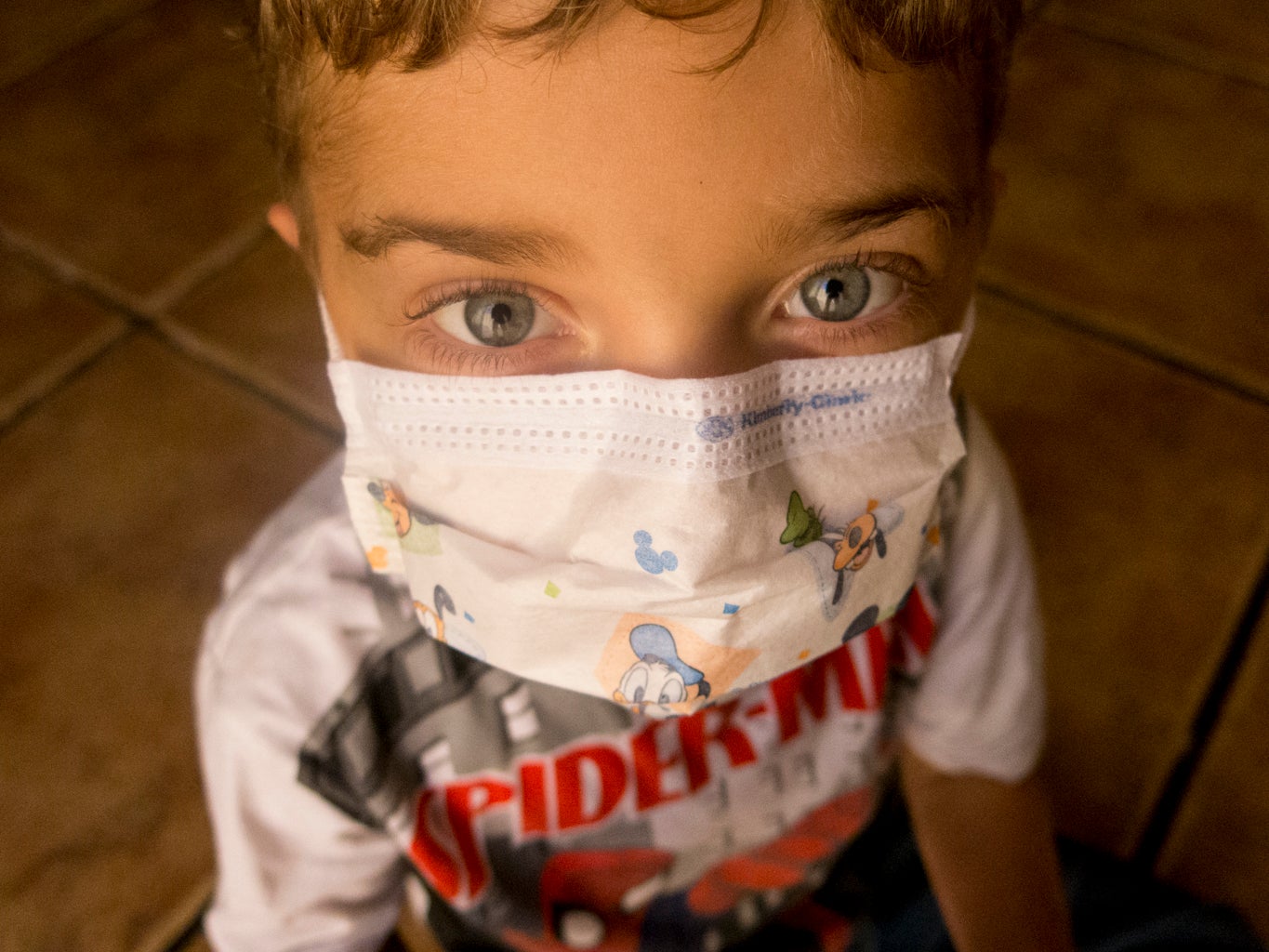 Martes 26 de agosto: Juanmari, un niño seis años de Solana de los Barros, se recupera tras trasplantársele un hígado justo hace doce meses. Los médicos se asombraron y comentaron que lo que ha aguantado no lo habían visto nunca. Foto: Pakopí