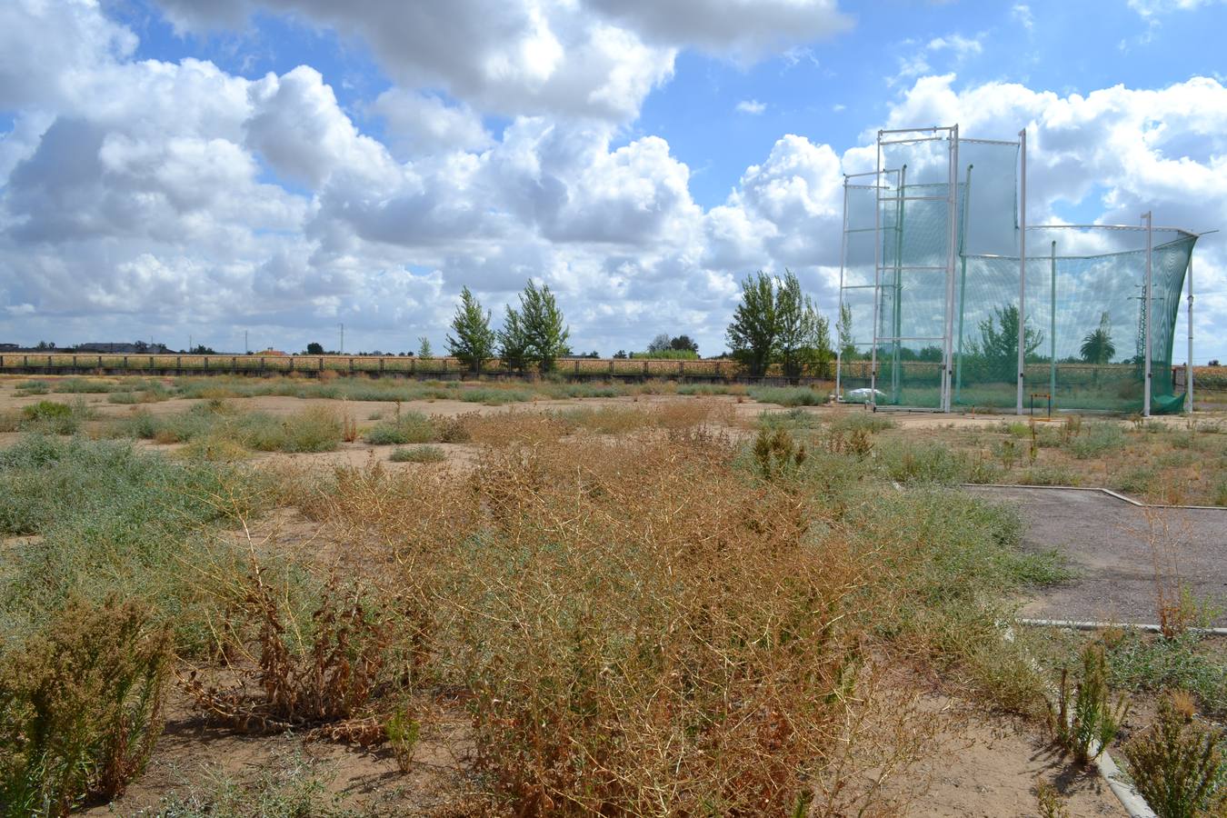 Estado de las instalaciones del Club de Atletismo de Montijo