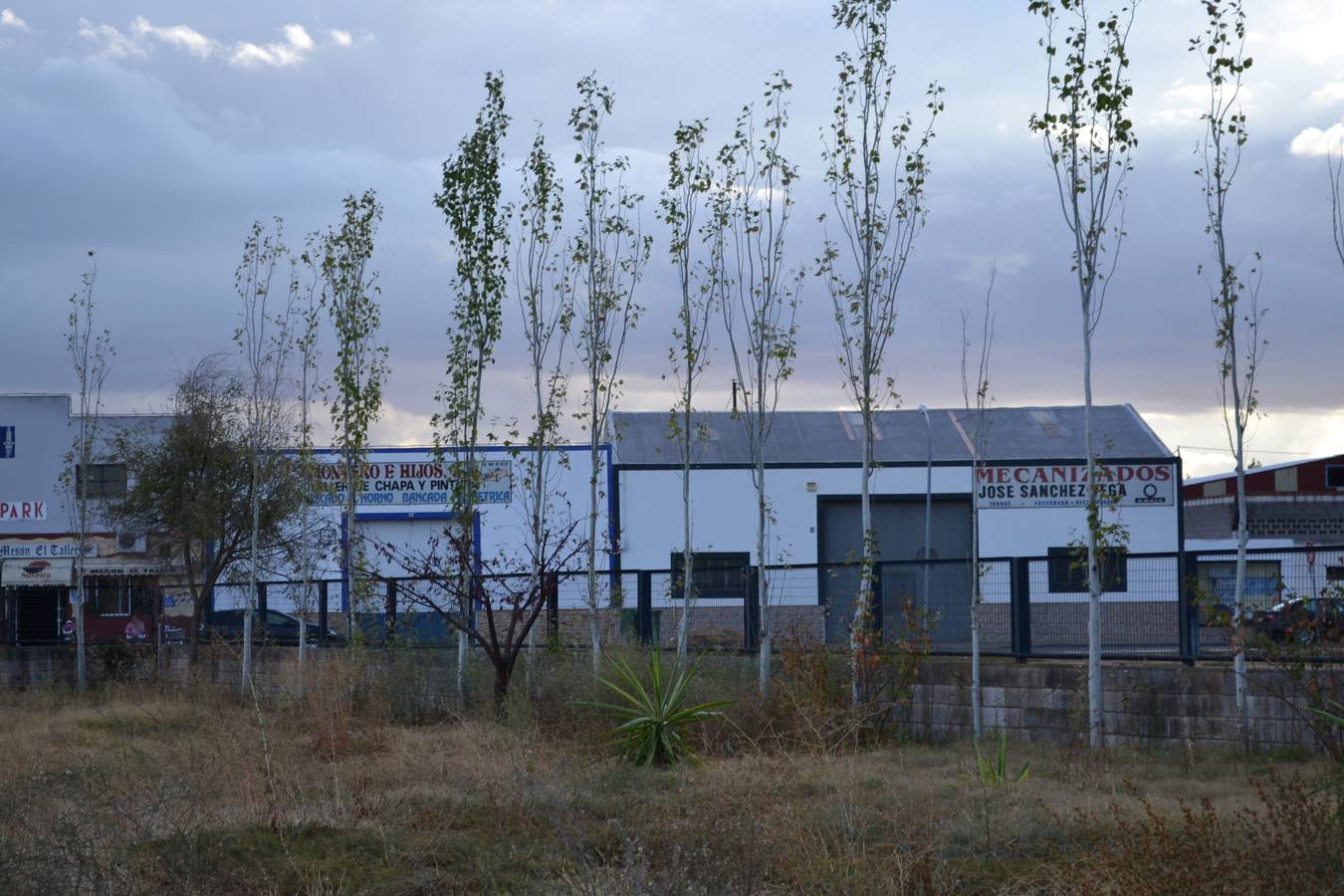 Estado de las instalaciones del Club de Atletismo de Montijo