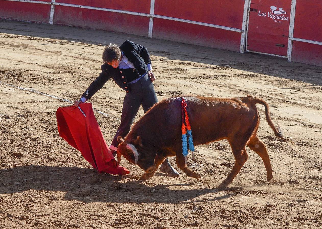 Festival benéfico en Las Vaguadas