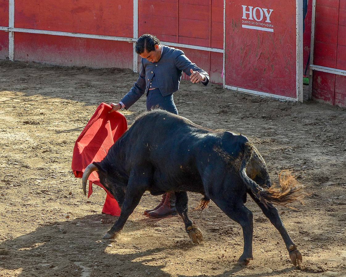 Festival benéfico en Las Vaguadas