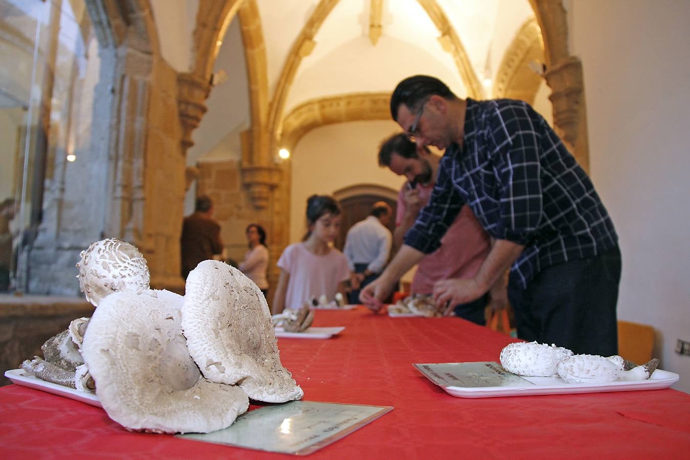 Comienzan los Lunes Micológicos en Cáceres