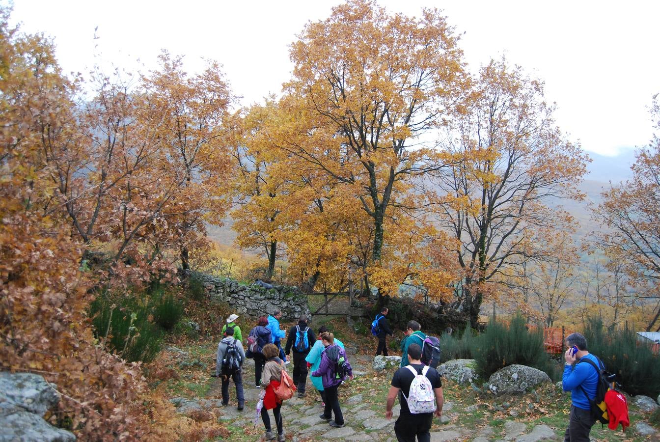 Embrujados por el encanto otoñal del Ambroz