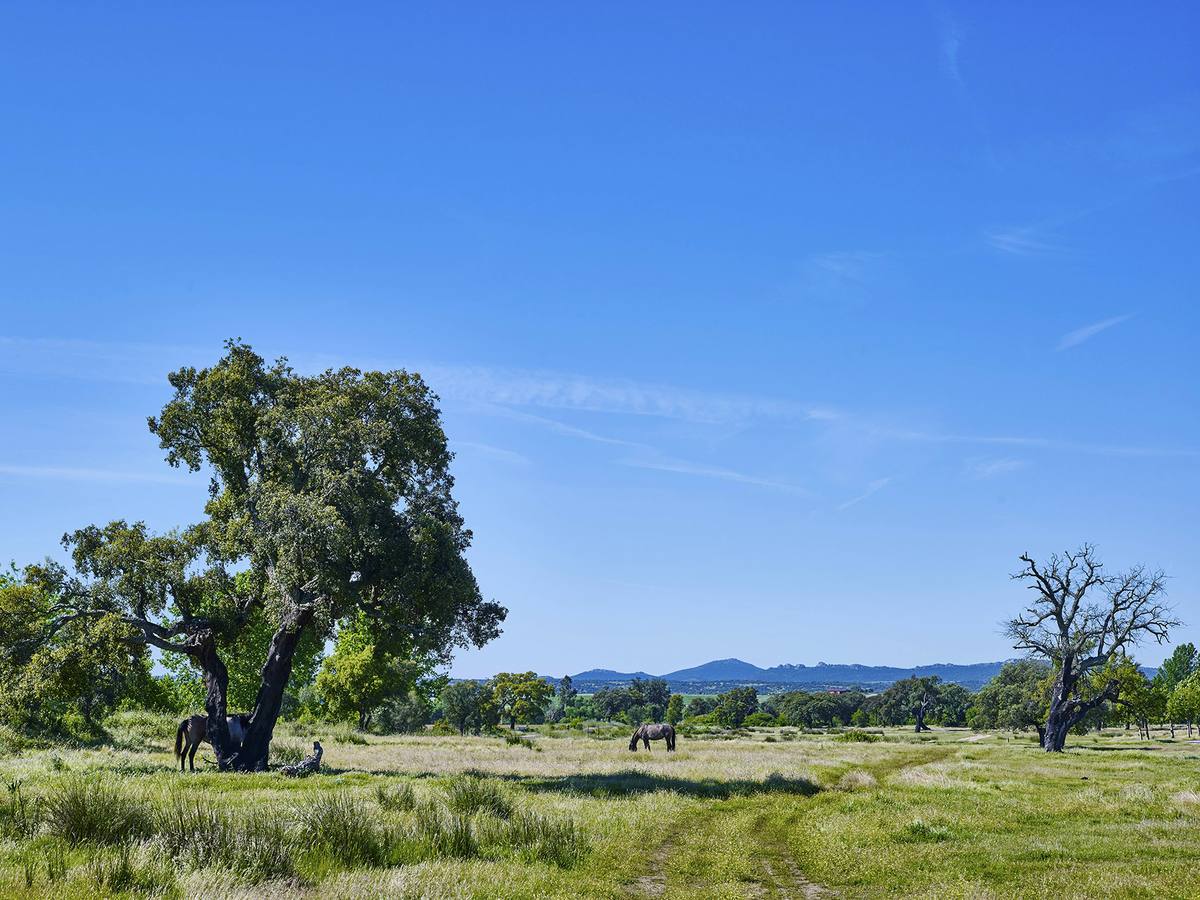 Vista de entorno de Vegaviana