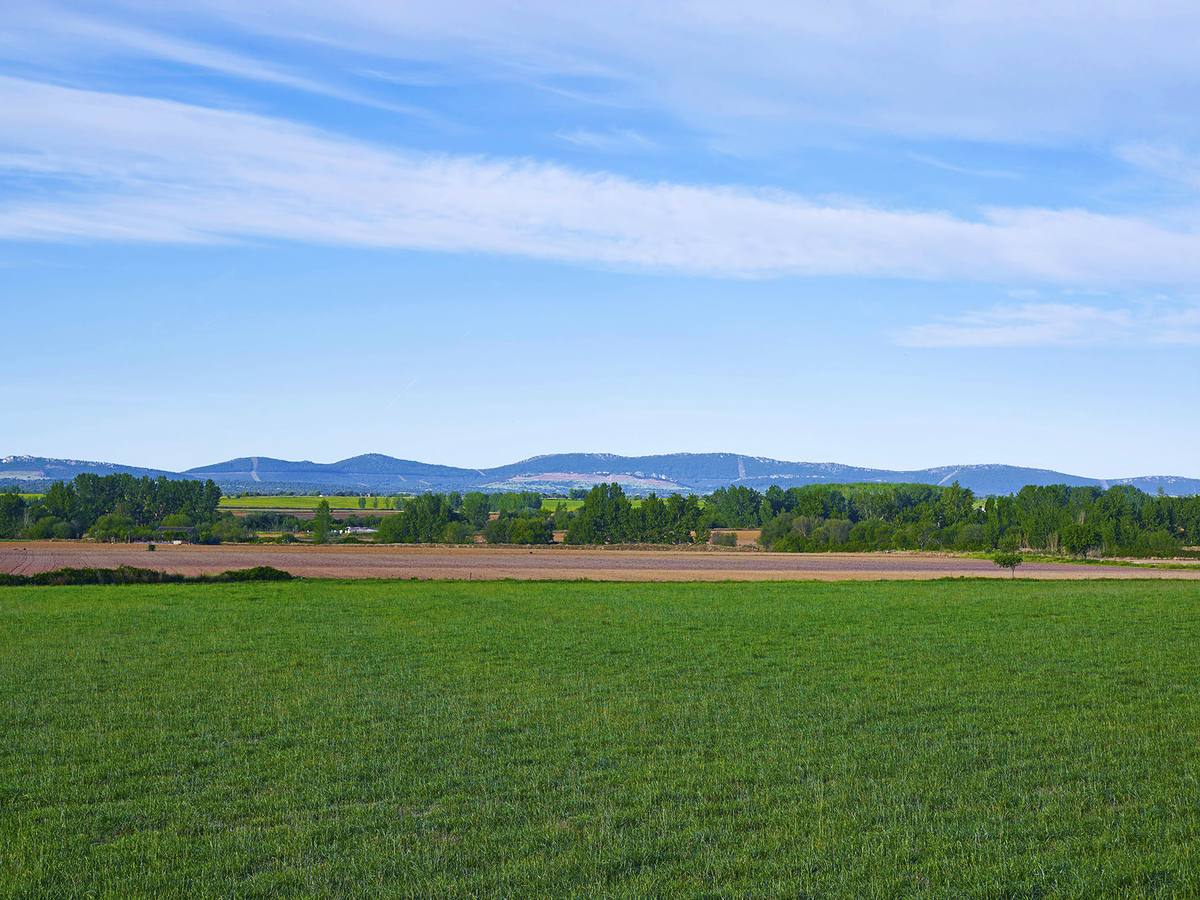 Tierras de labor de Vegaviana