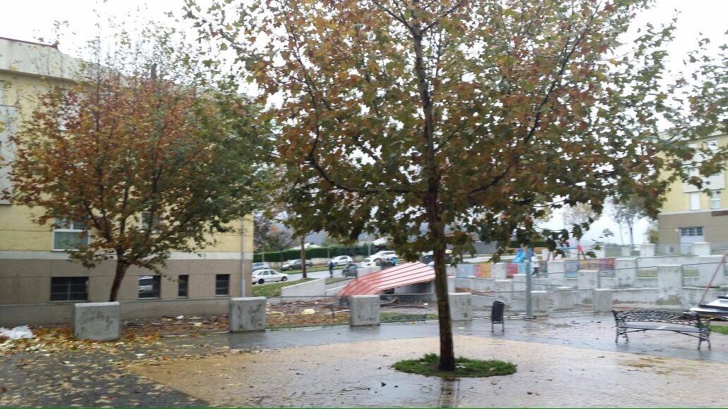 El fuerte viento provoca daños en Plasencia