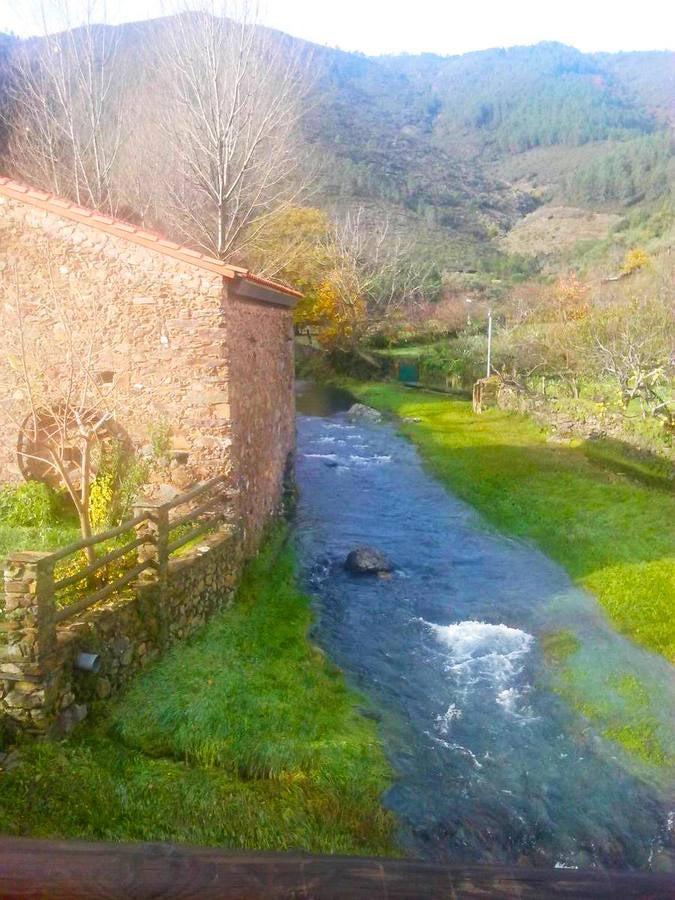 Las lluvias otoñales dan fuerza al Chorrituelo de Ovejuela