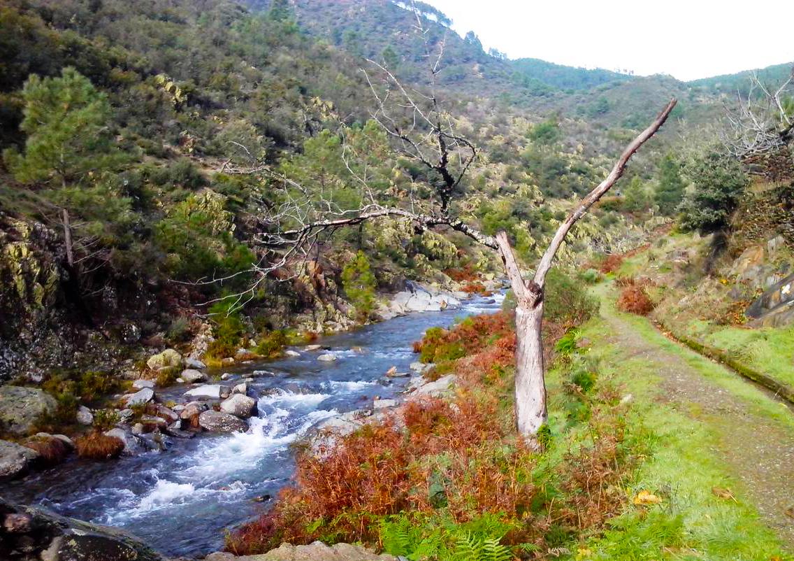 Las lluvias otoñales dan fuerza al Chorrituelo de Ovejuela