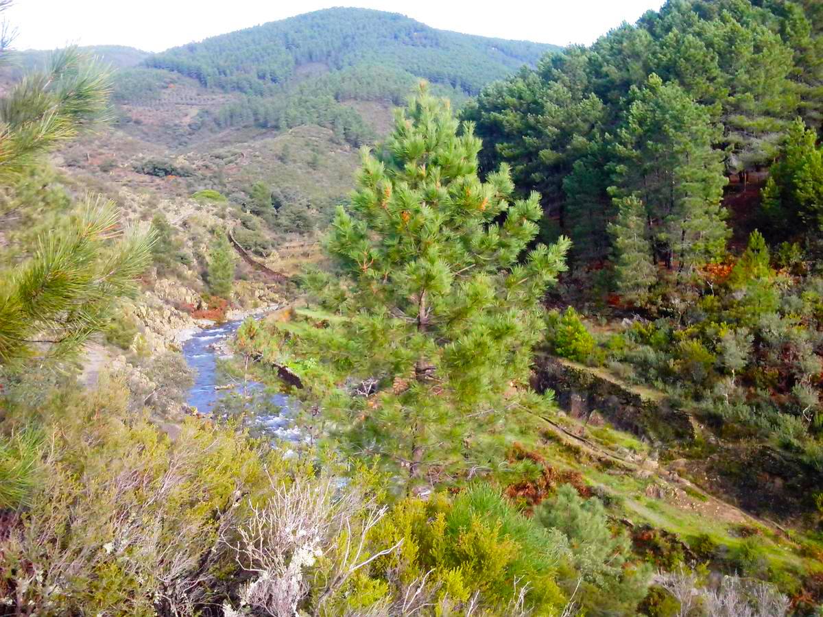 Las lluvias otoñales dan fuerza al Chorrituelo de Ovejuela