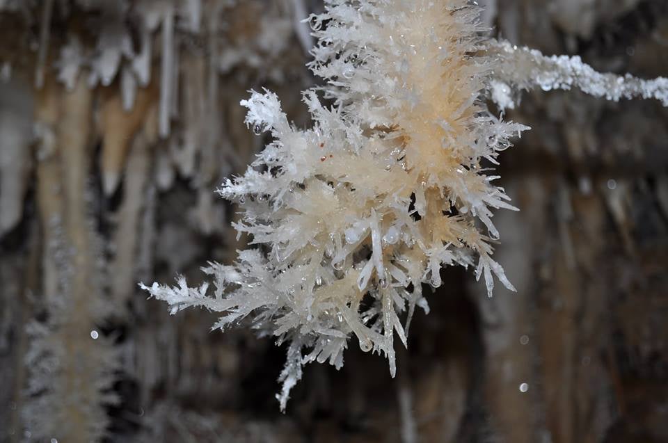 Formación cristalizada en la Cueva de Castañar de Ibor, solo visitable en verano.