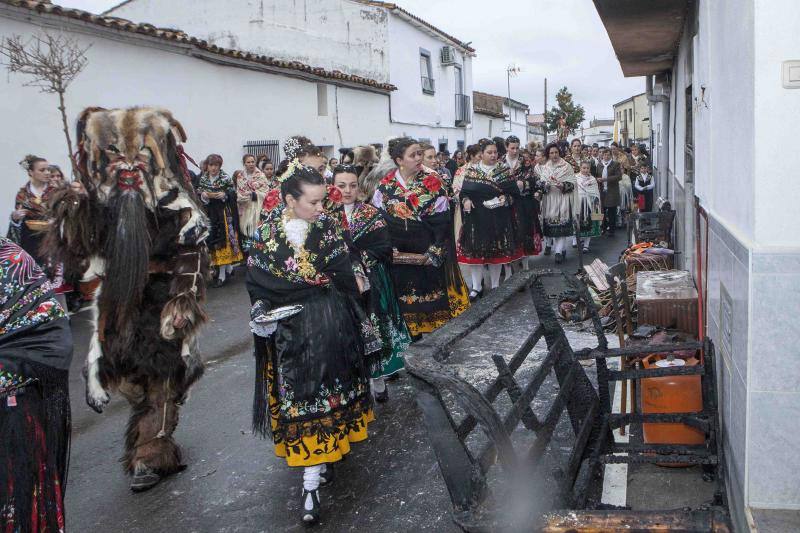 Las Carantoñas recorren Acehúche