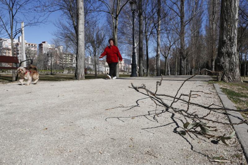 Efectos del temporal en Plasencia