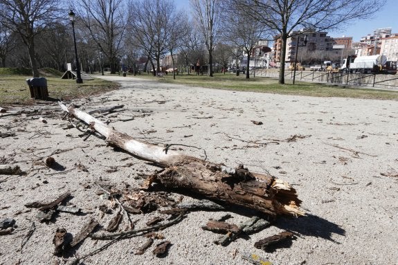 Efectos del temporal en Plasencia
