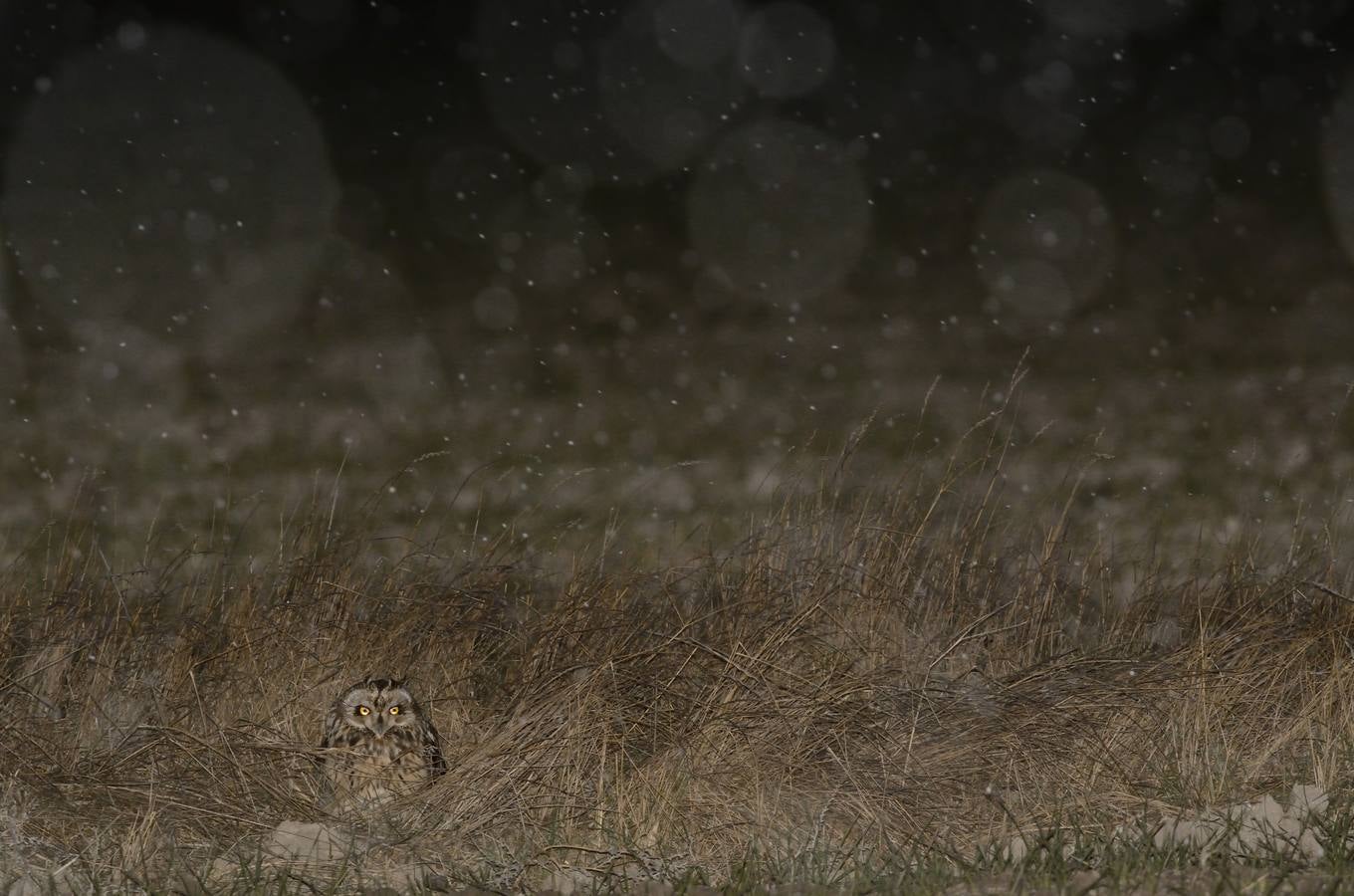 Categoría 5. Jóvenes Fotógrafos. 'Aguantando el temporal', por Carlos Pérez Naval